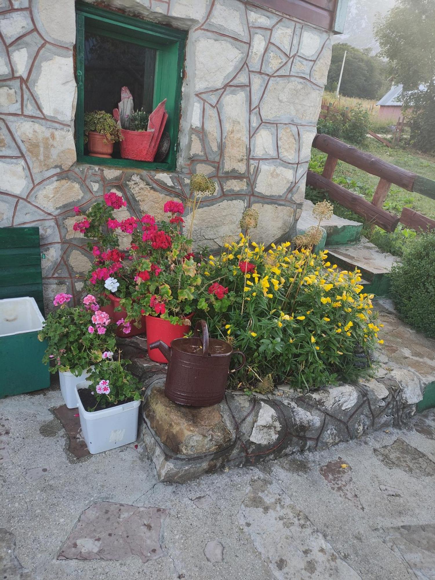 Durmitorska Koliba Sa Kupatilom Villa Zabljak  Room photo